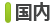 국내