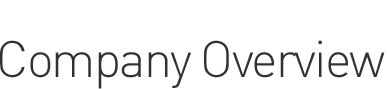 About the company